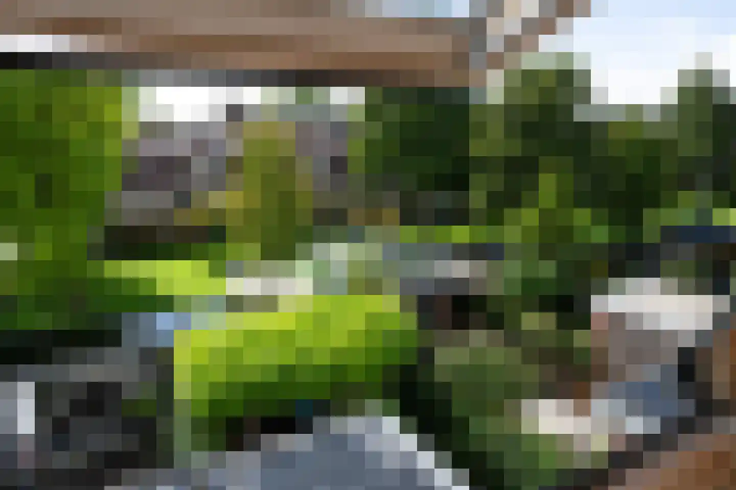 Regulierstraat 36 Haarlem thumbnail 30