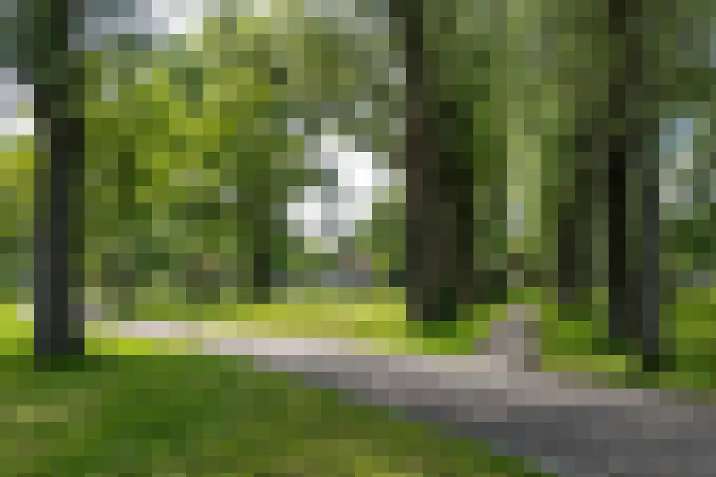 Regulierstraat 36 Haarlem thumbnail 33