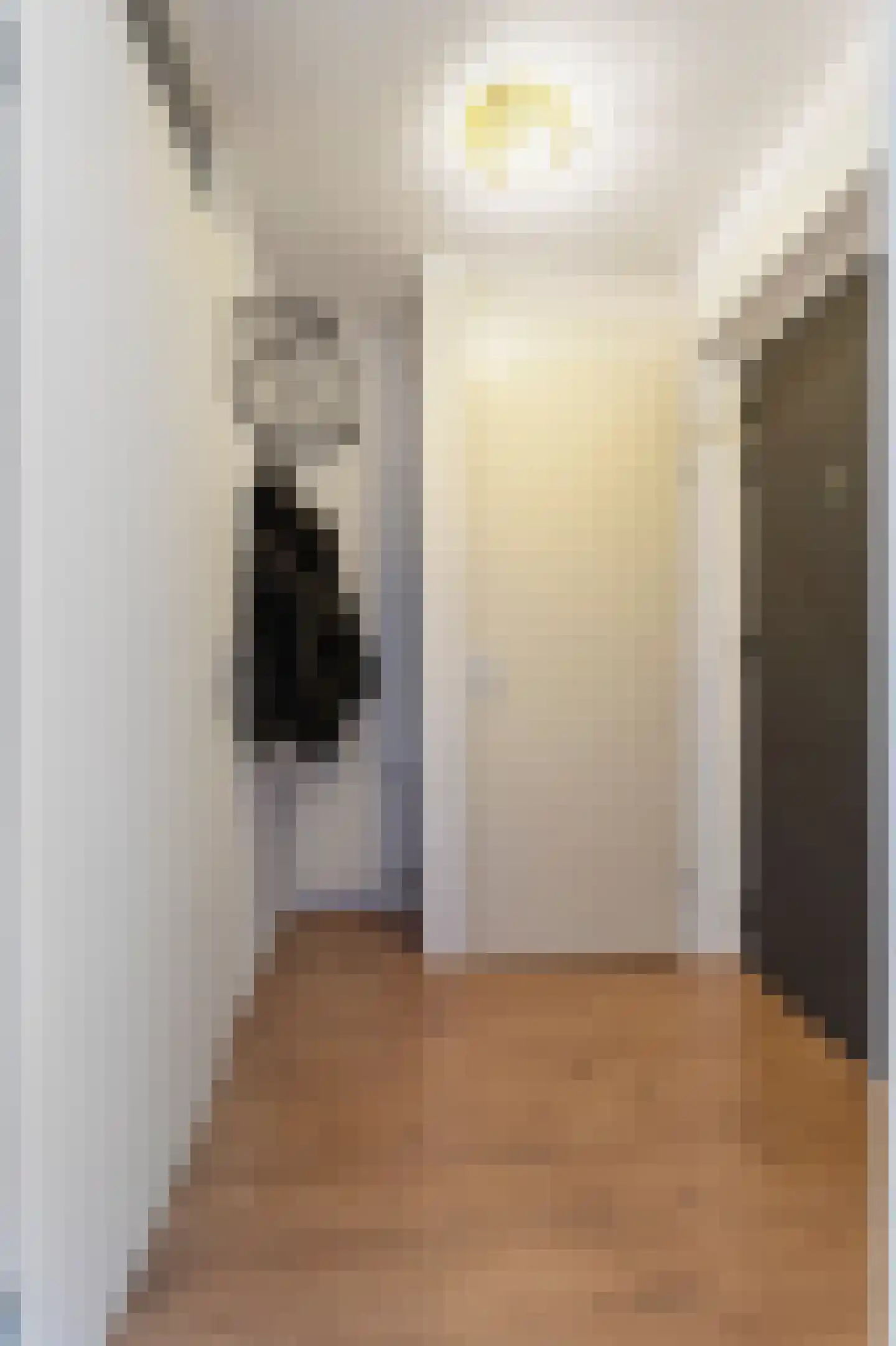 Regulierstraat 43 B Nijmegen thumbnail 18