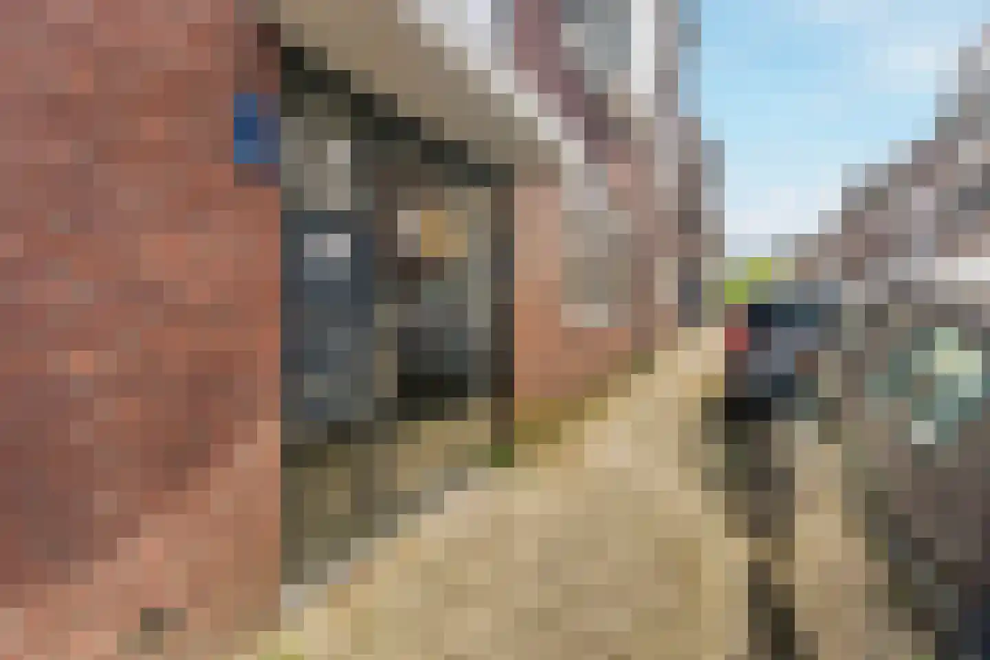 Regulierstraat 43 B Nijmegen thumbnail 4