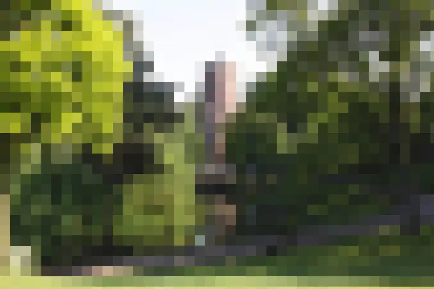 Regulierstraat 80 Nijmegen thumbnail 23