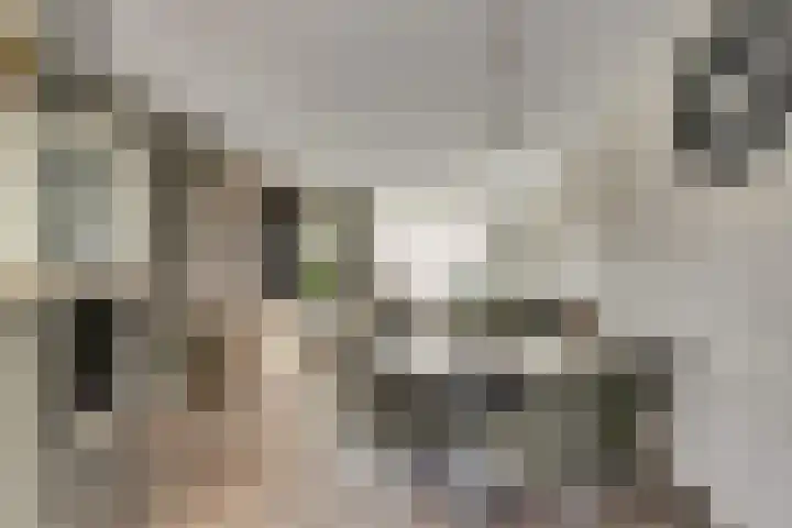 Regulus 25 Katwijk thumbnail 18