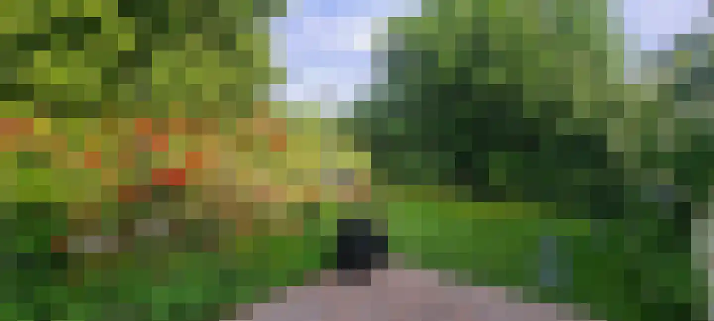 Regulus 33 Hoogeveen thumbnail 33
