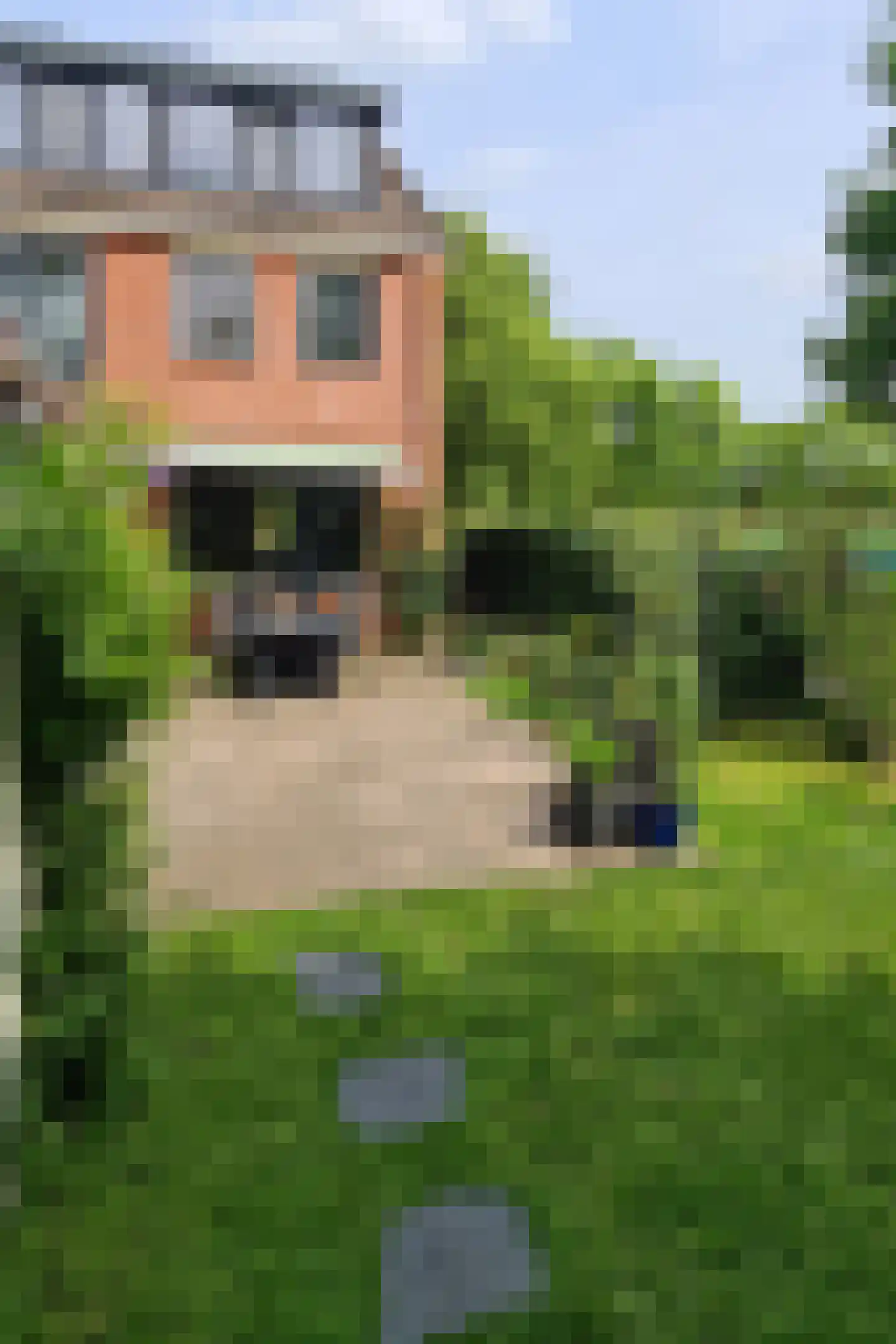 Regulus 33 Hoogeveen thumbnail 34