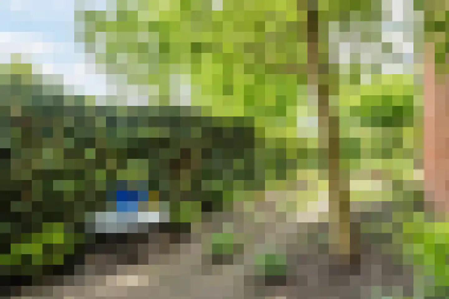 Regulus 33 Hoogeveen thumbnail 35