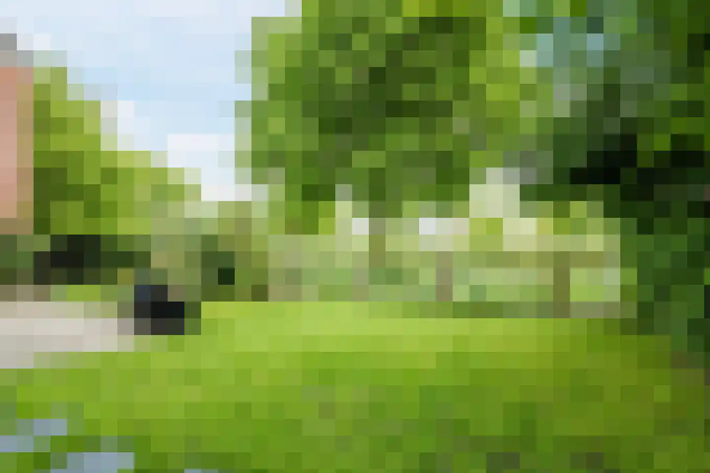 Regulus 33 Hoogeveen thumbnail 36