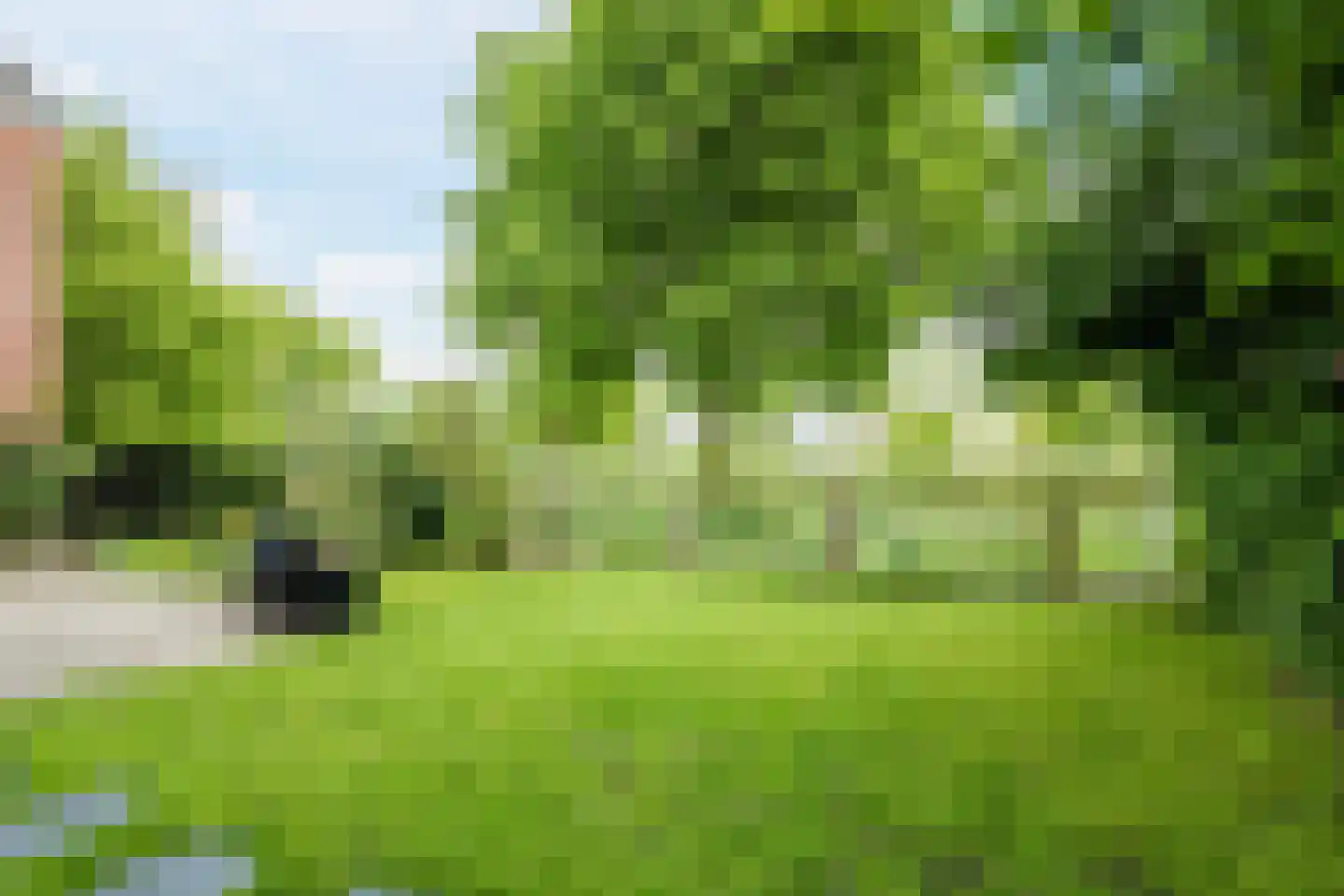 Regulus 33 Hoogeveen thumbnail 37