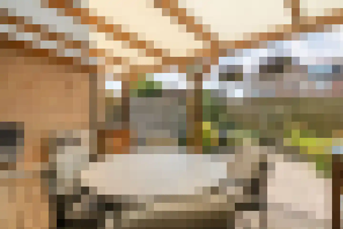 Regulus 36 Hoogeveen thumbnail 32