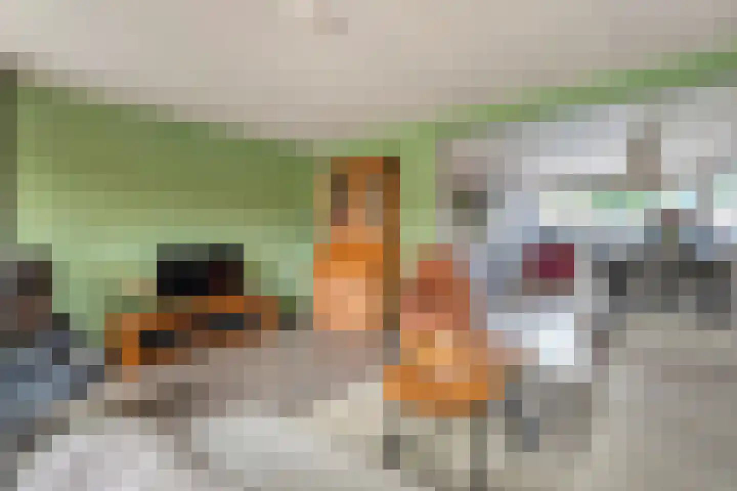 Regulus 36 Hoogeveen thumbnail 8