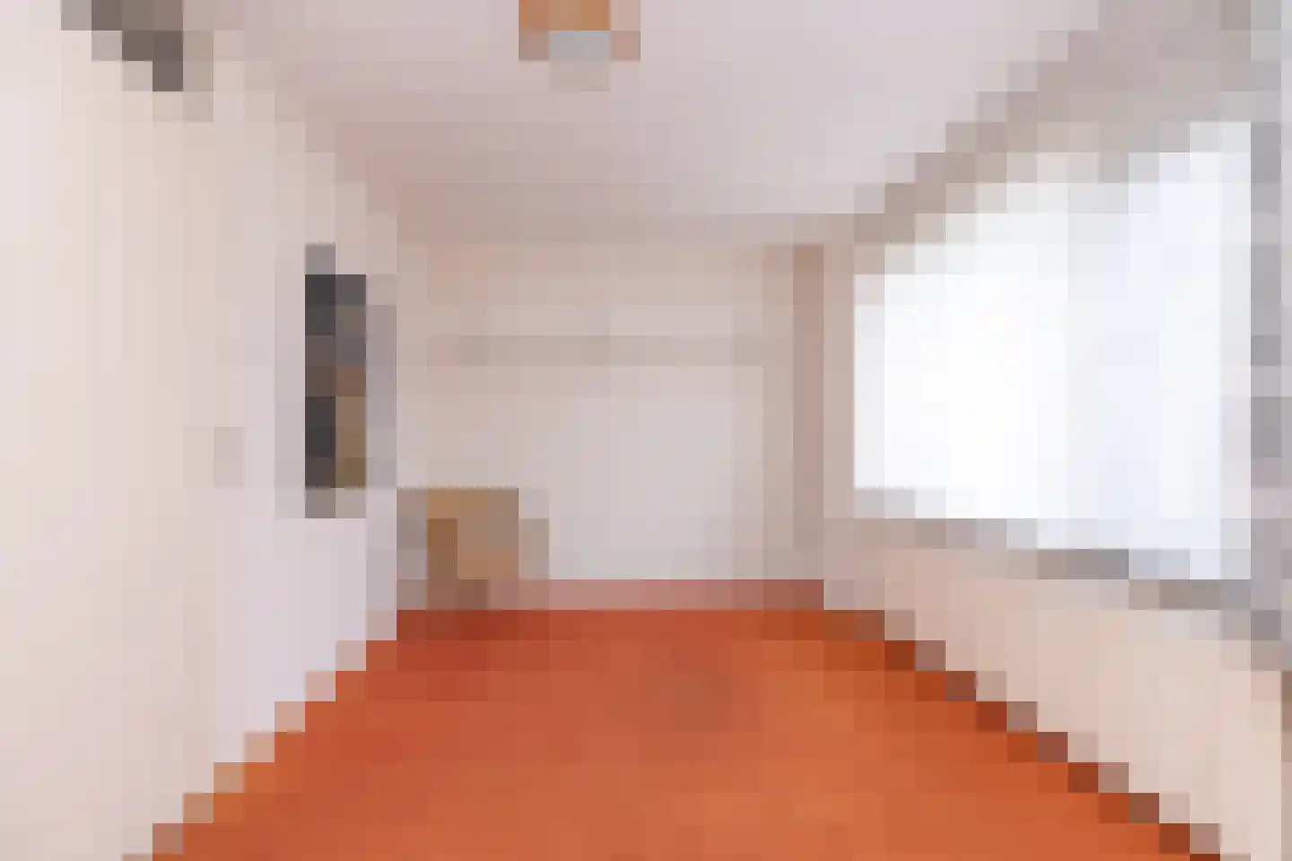 Regulus 40 Hoogeveen thumbnail 21