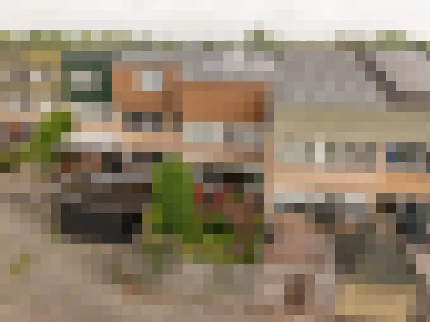 Regulus 40 Hoogeveen thumbnail 32