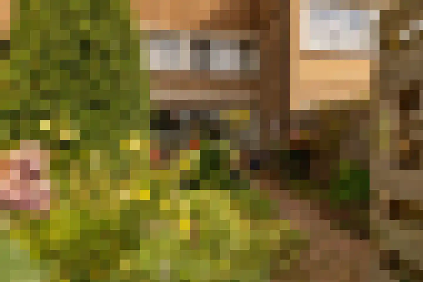 Regulus 40 Hoogeveen thumbnail 33