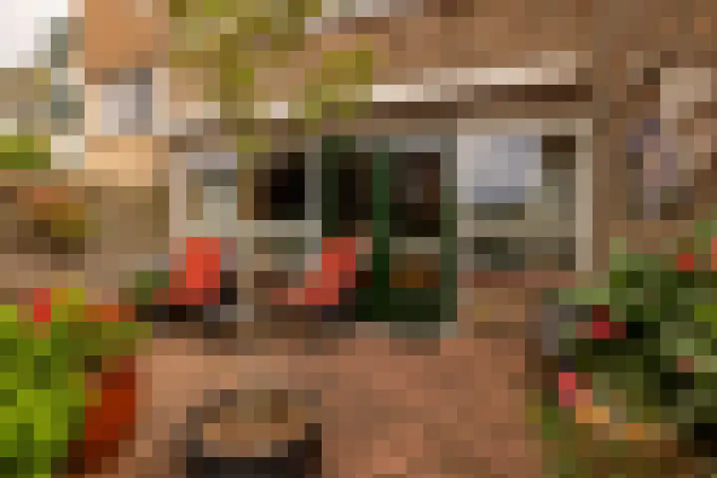 Regulus 40 Hoogeveen thumbnail 34