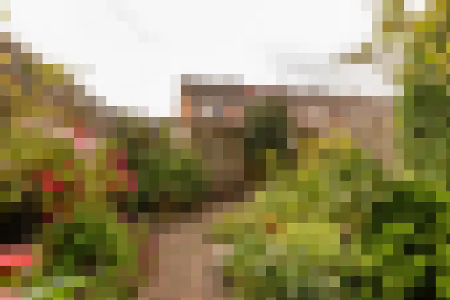 Regulus 40 Hoogeveen thumbnail 35