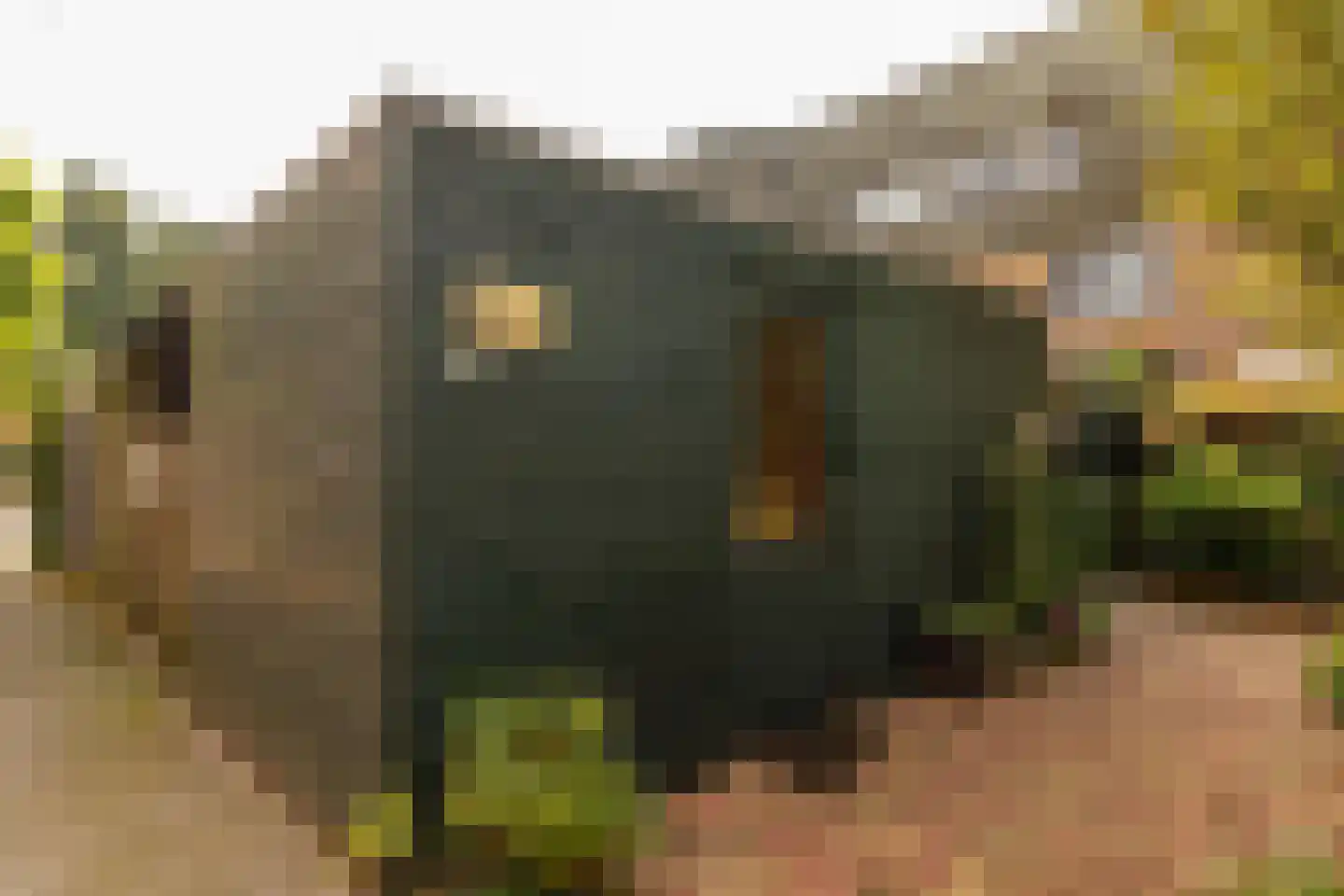 Regulus 40 Hoogeveen thumbnail 37