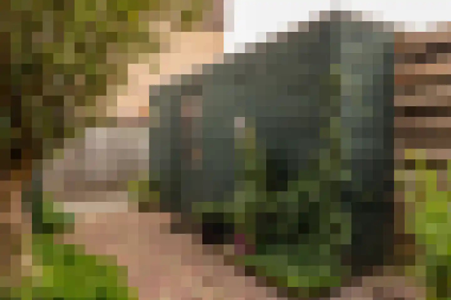 Regulus 40 Hoogeveen thumbnail 38