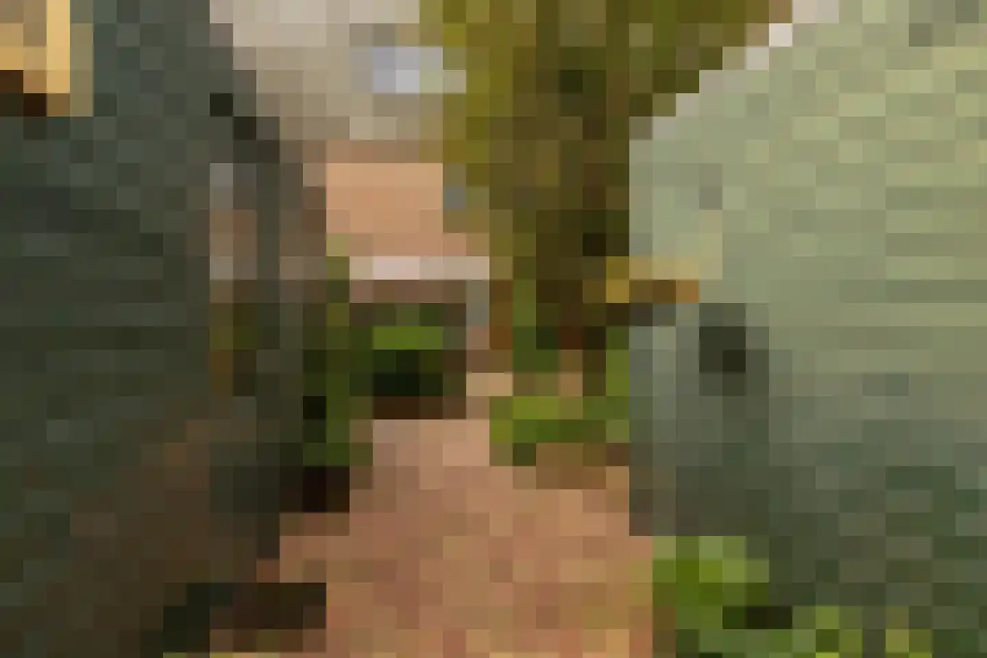 Regulus 40 Hoogeveen thumbnail 40