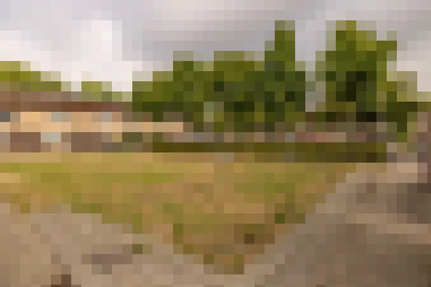 Regulus 40 Hoogeveen thumbnail 41