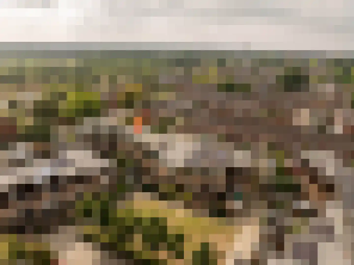 Regulus 40 Hoogeveen thumbnail 46