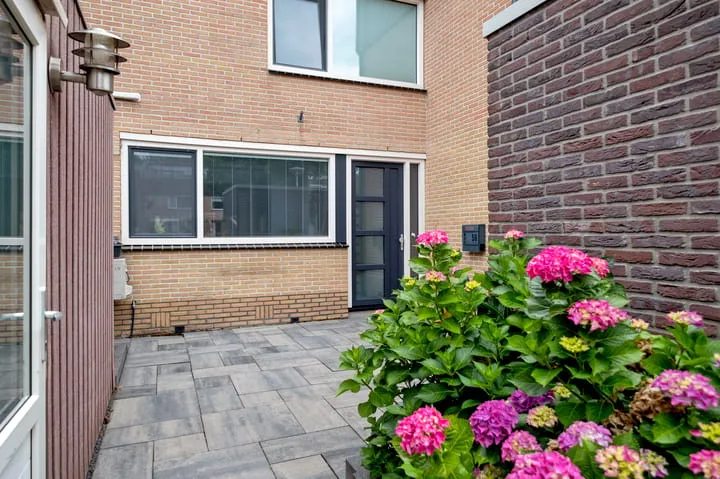 Regulus 56 Hoogeveen foto 2