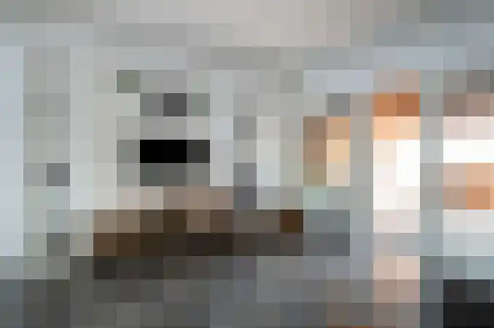 Regulus 56 Hoogeveen thumbnail 21