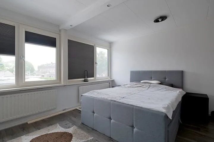 Regulus 56 Hoogeveen thumbnail 23
