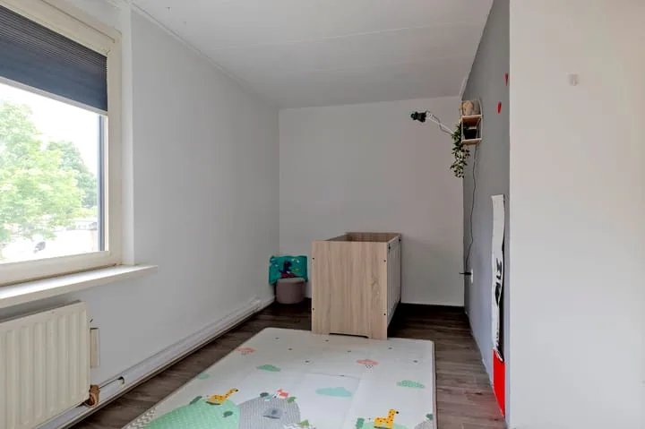 Regulus 56 Hoogeveen thumbnail 25