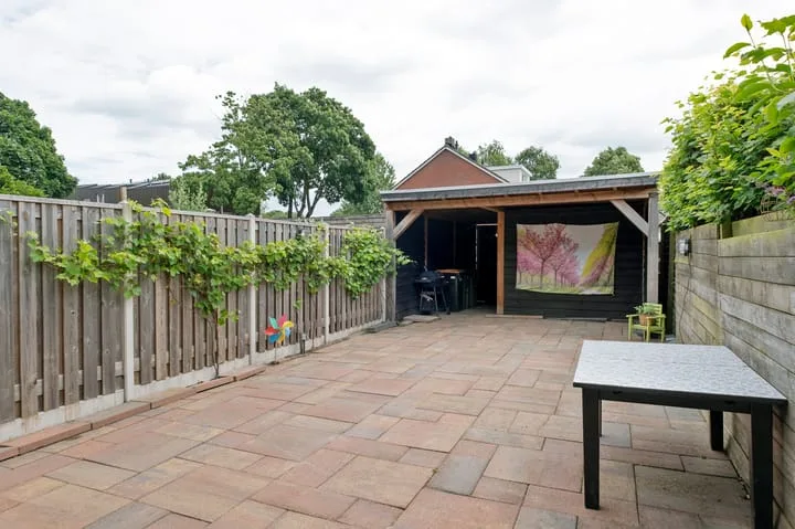 Regulus 56 Hoogeveen thumbnail 38