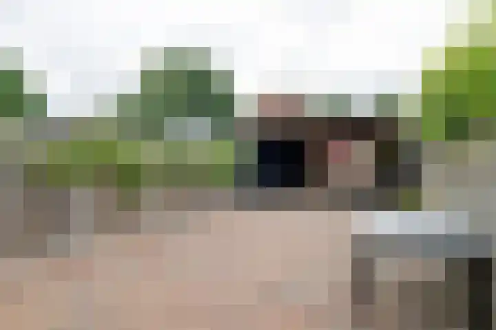 Regulus 56 Hoogeveen thumbnail 38