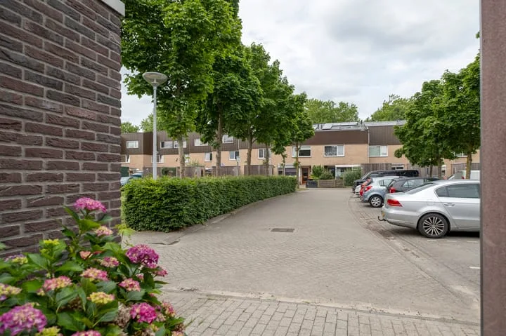 Regulus 56 Hoogeveen thumbnail 44