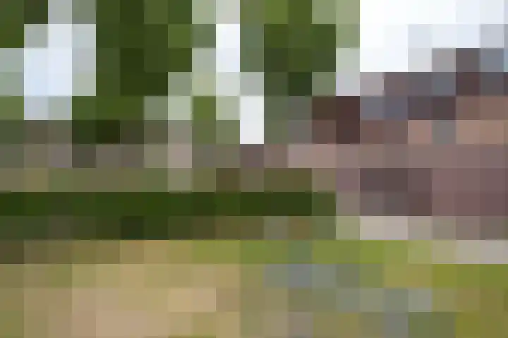 Regulus 56 Hoogeveen thumbnail 45