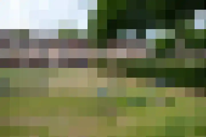 Regulus 56 Hoogeveen thumbnail 46