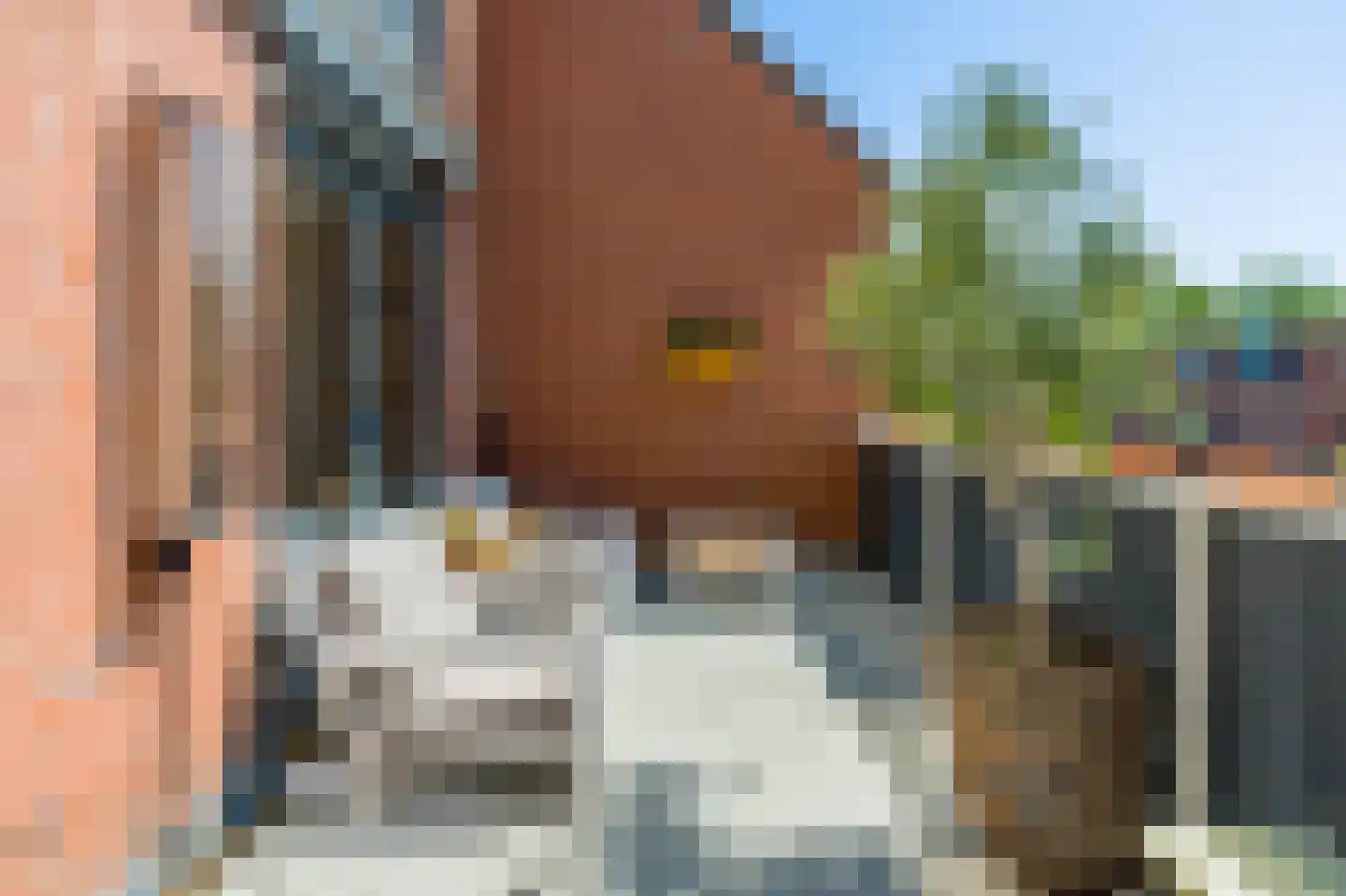 Regulus 7 Katwijk thumbnail 17