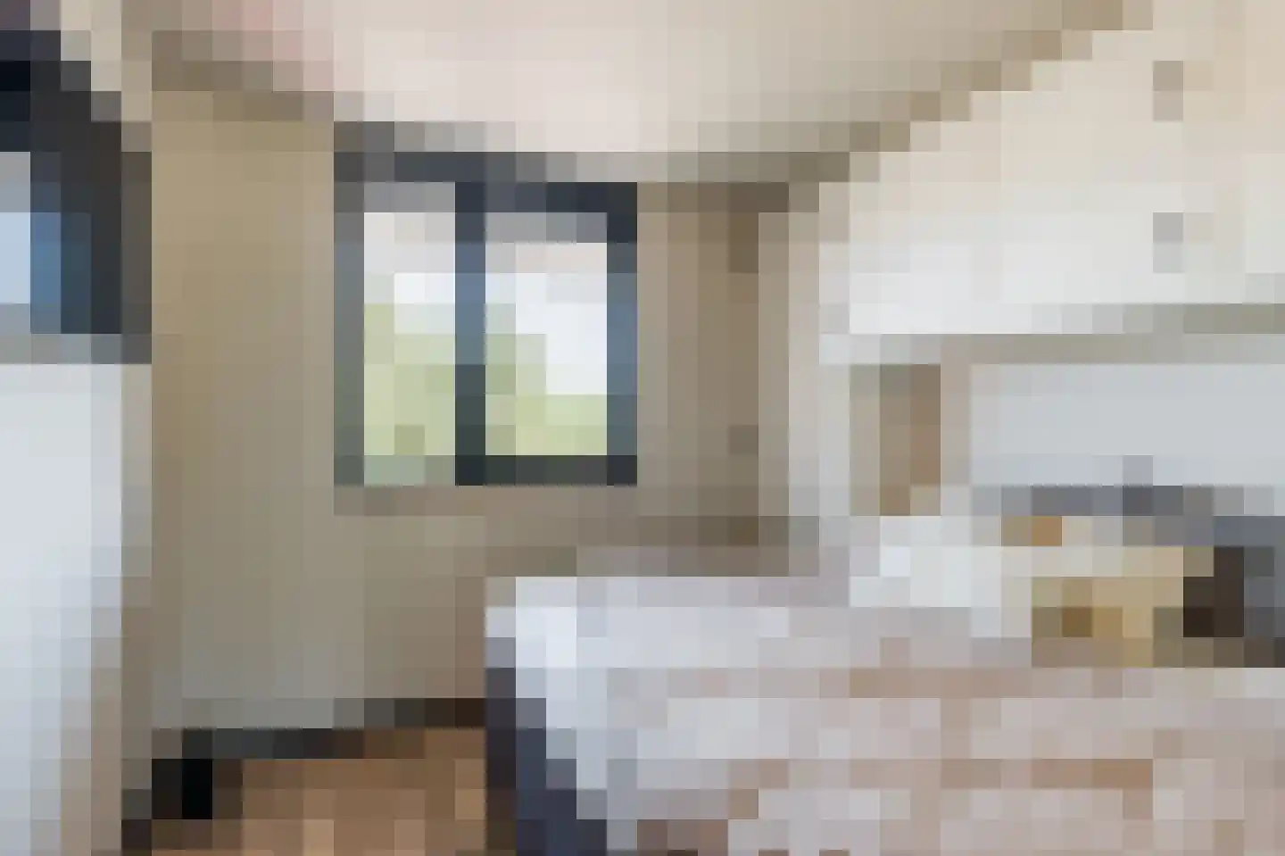 Regulus 7 Katwijk thumbnail 24