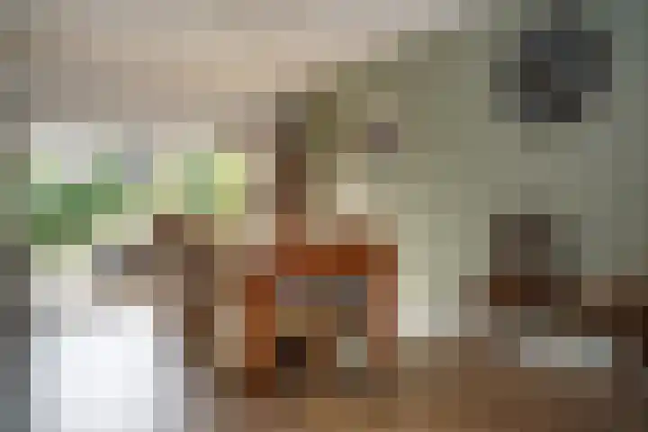 Regulus 8 Oostburg thumbnail 10