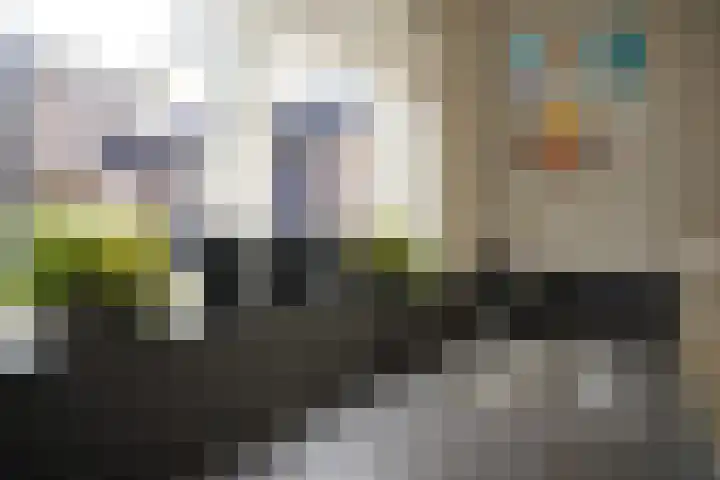 Regulus 8 Oostburg thumbnail 16