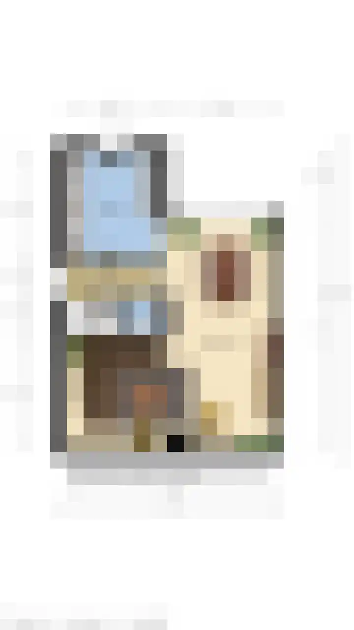Regulus 8 Oostburg thumbnail 19