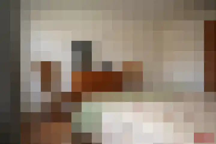 Regulus 8 Oostburg thumbnail 24