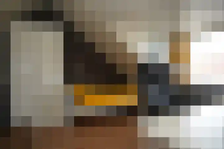 Regulus 8 Oostburg thumbnail 36