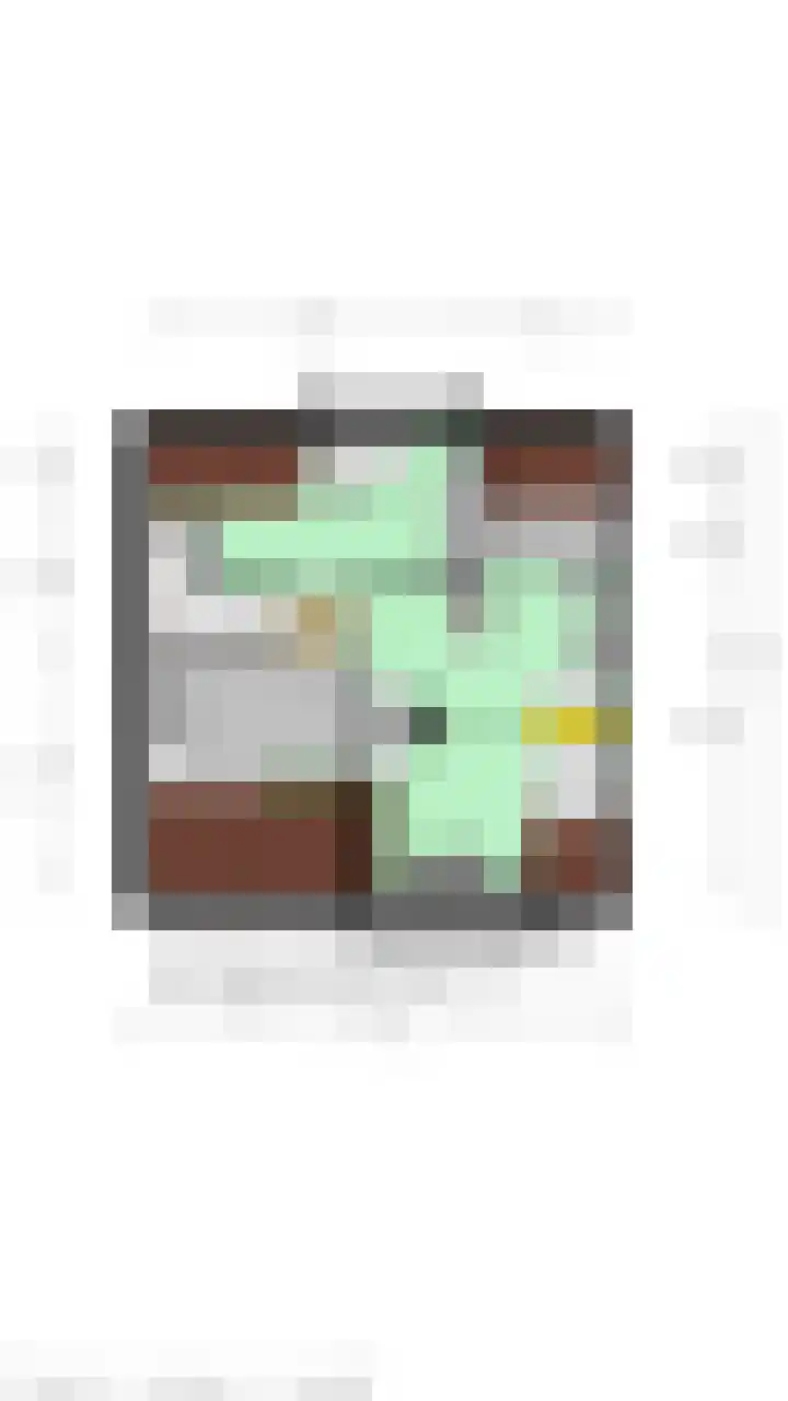 Regulus 8 Oostburg thumbnail 39