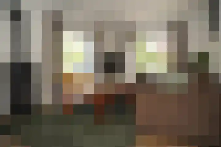 Regulus 8 Oostburg thumbnail 4