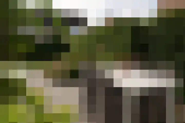 Regulus 8 Oostburg thumbnail 41