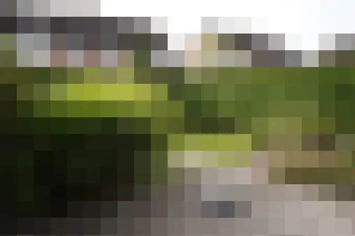 Regulus 8 Oostburg thumbnail 42