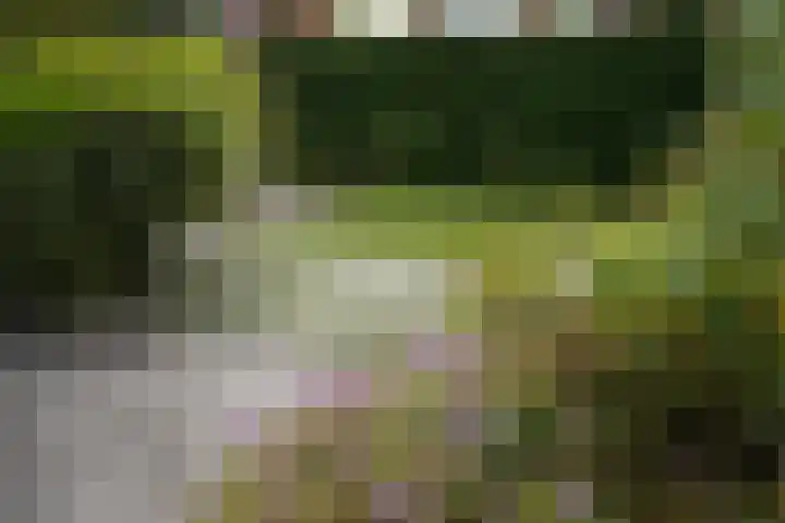 Regulus 8 Oostburg thumbnail 43