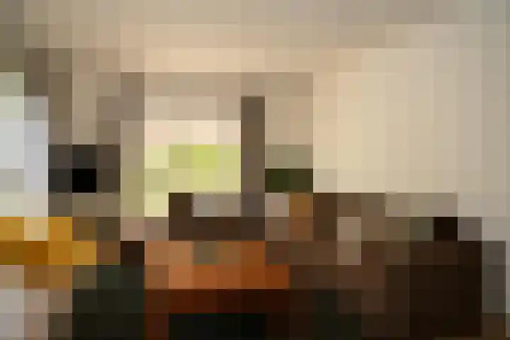 Regulus 8 Oostburg thumbnail 5