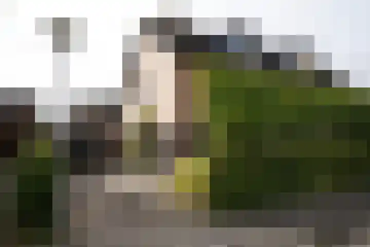 Regulus 8 Oostburg thumbnail 50