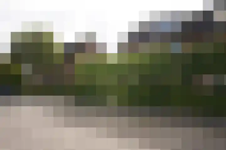 Regulus 8 Oostburg thumbnail 51