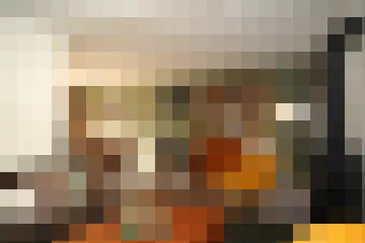 Regulus 8 Oostburg thumbnail 7