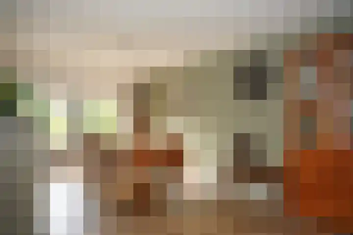 Regulus 8 Oostburg thumbnail 8