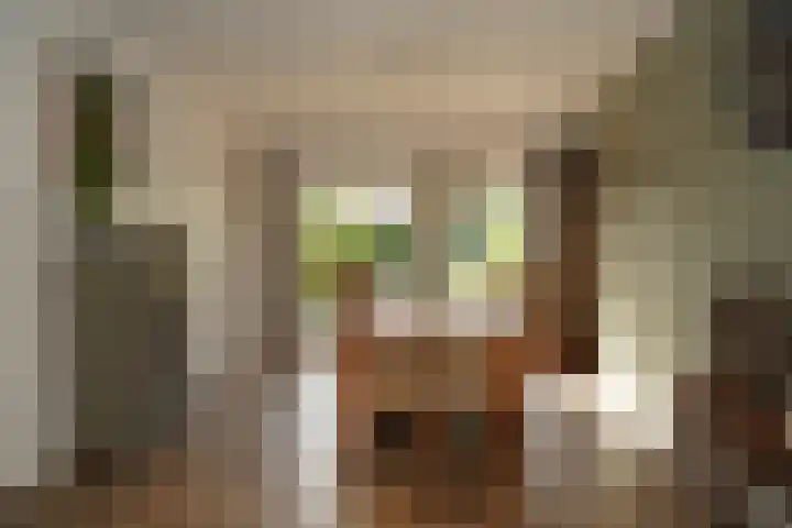 Regulus 8 Oostburg thumbnail 9